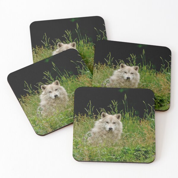 Item preview, Arctic Wolf designed and sold by Michael Cummings.
