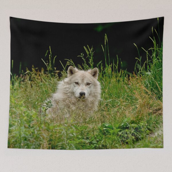 Item preview, Arctic Wolf designed and sold by Michael Cummings.