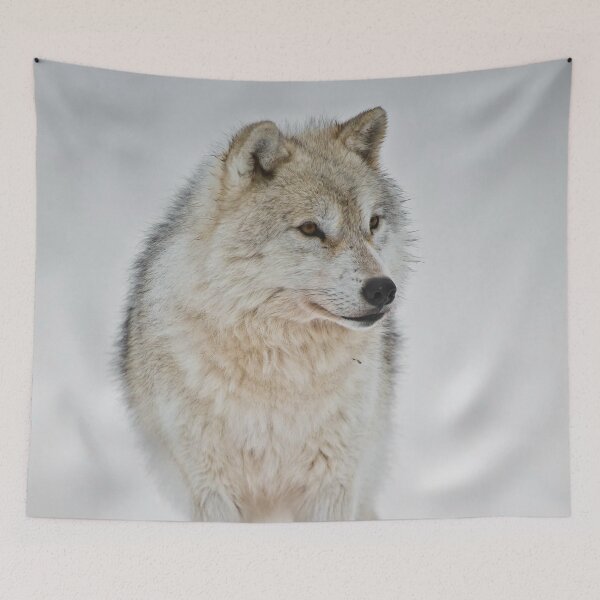 Item preview, Arctic Wolf designed and sold by Michael Cummings.