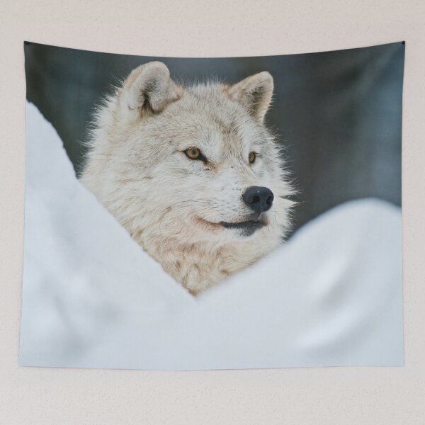 Item preview, Arctic Wolf designed and sold by Michael Cummings.