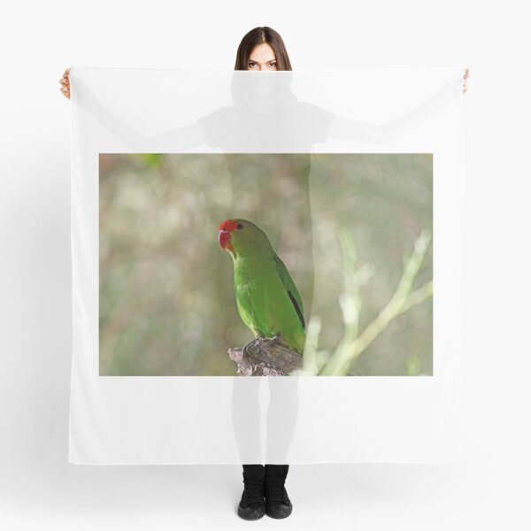 Item preview, Black-winged lovebird (Agapornis taranta) designed and sold by Zosimus.