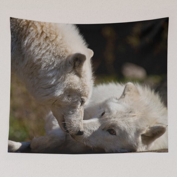 Item preview, Arctic Wolves designed and sold by Michael Cummings.