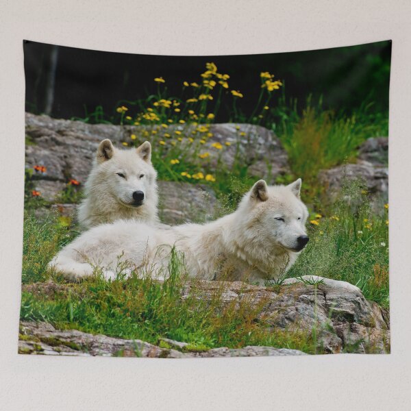 Item preview, Arctic Wolves designed and sold by Michael Cummings.