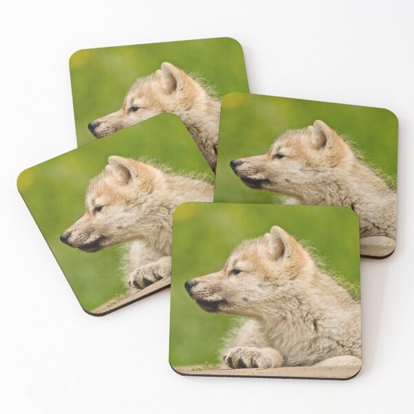 Item preview, Arctic Wolf Pup designed and sold by Michael Cummings.