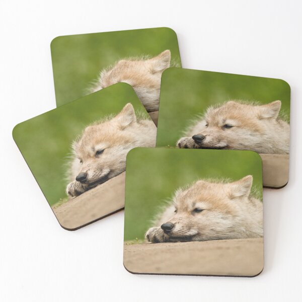 Item preview, Arctic Wolf Pup designed and sold by Michael Cummings.