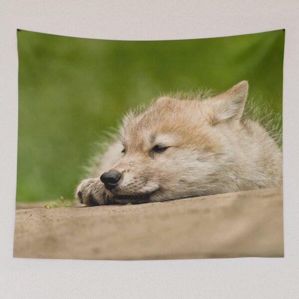 Item preview, Arctic Wolf Pup designed and sold by Michael Cummings.