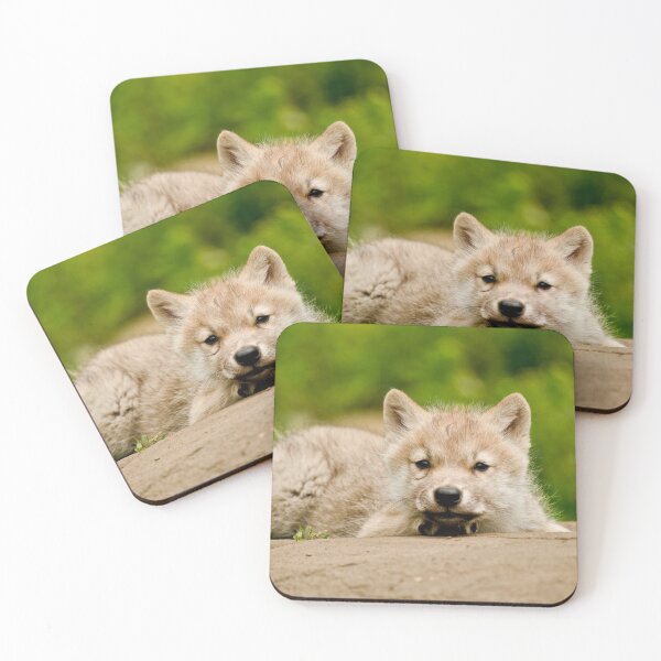 Item preview, Arctic Wolf Pup designed and sold by Michael Cummings.
