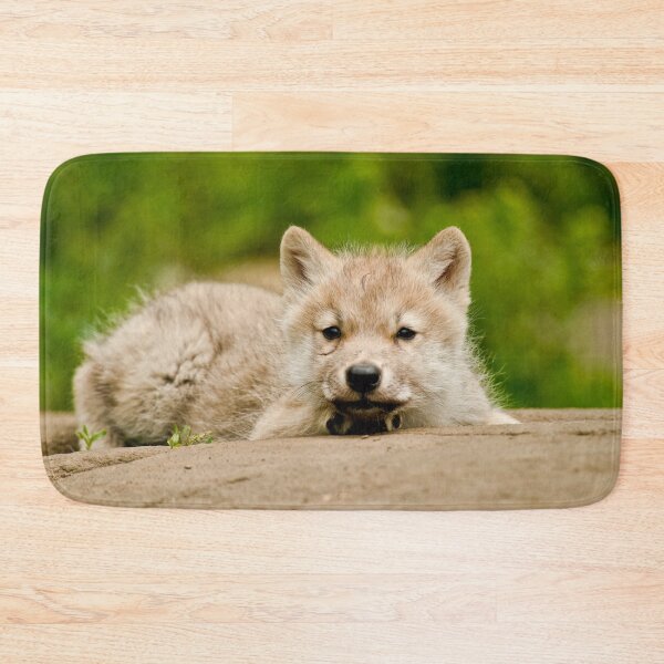 Item preview, Arctic Wolf Pup designed and sold by Michael Cummings.