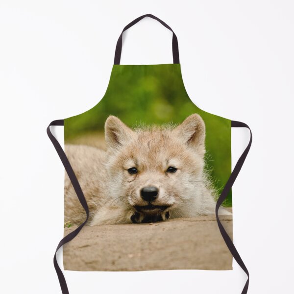 Item preview, Arctic Wolf Pup designed and sold by Michael Cummings.