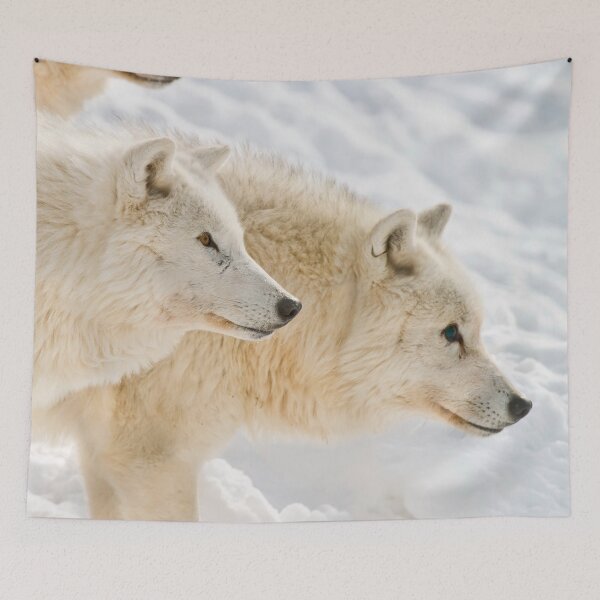Item preview, Arctic Wolves designed and sold by Michael Cummings.