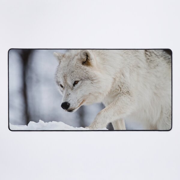 Item preview, Arctic Wolf designed and sold by Michael Cummings.