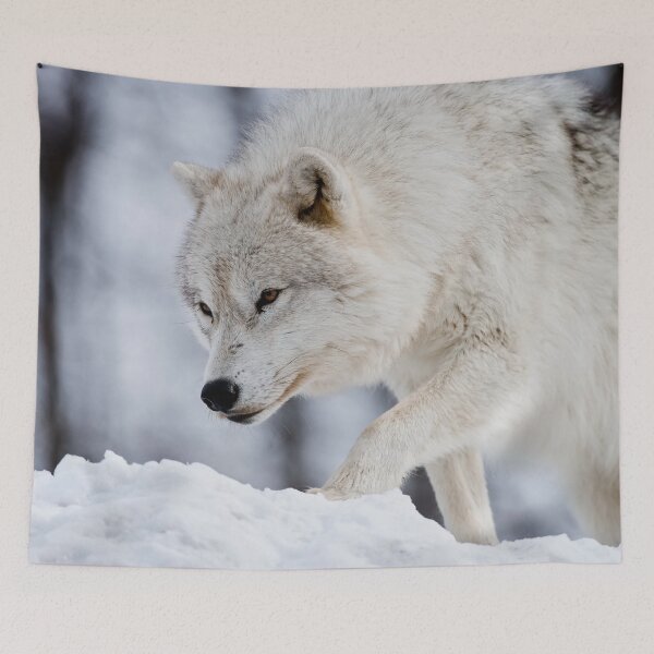 Item preview, Arctic Wolf designed and sold by Michael Cummings.