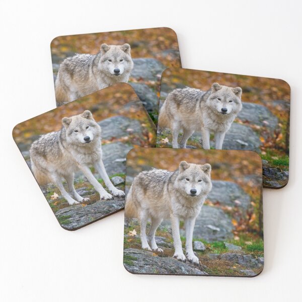 Item preview, Arctic Wolf designed and sold by Michael Cummings.