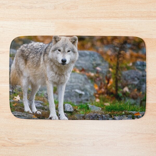 Item preview, Arctic Wolf designed and sold by Michael Cummings.