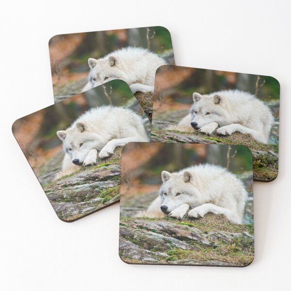 Item preview, Arctic Wolf designed and sold by Michael Cummings.