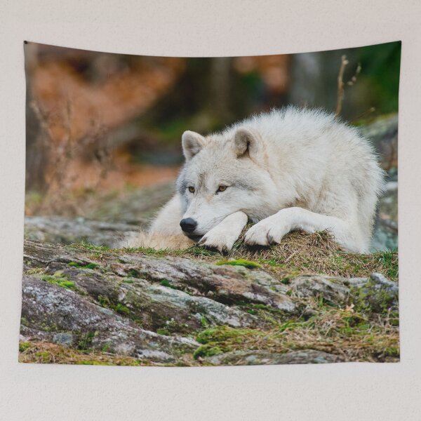Item preview, Arctic Wolf designed and sold by Michael Cummings.