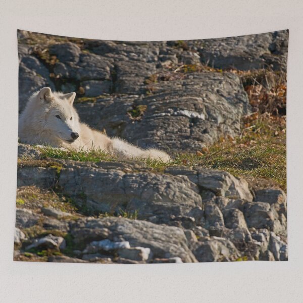 Item preview, Arctic Wolf designed and sold by Michael Cummings.