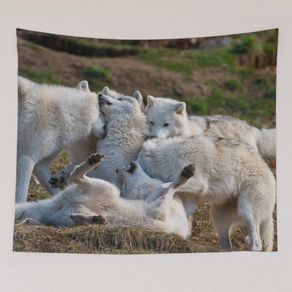 Item preview, Arctic Wolves Playing designed and sold by Michael Cummings.