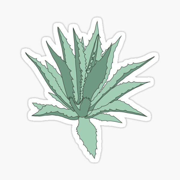 Agave Sticker