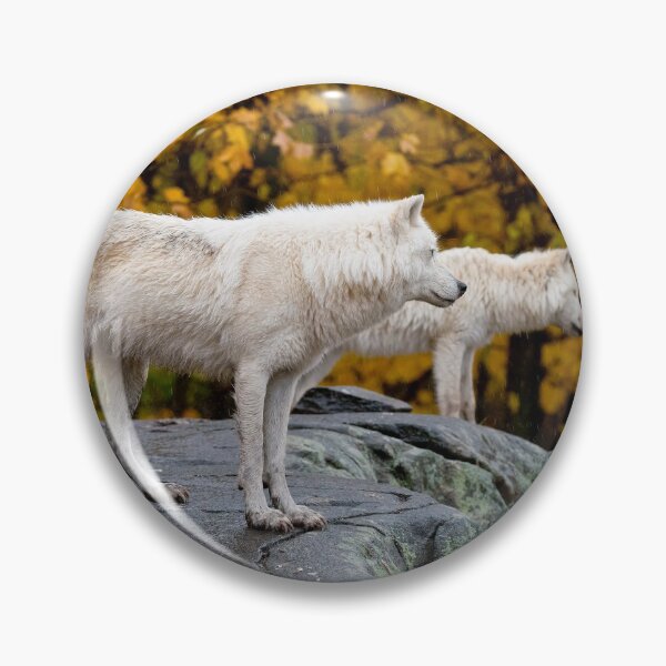 Item preview, Arctic Wolves designed and sold by Michael Cummings.