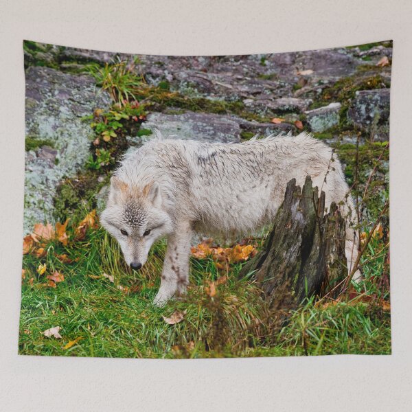 Item preview, Arctic Wolf designed and sold by Michael Cummings.