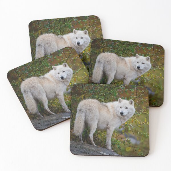 Item preview, Arctic Wolf designed and sold by Michael Cummings.