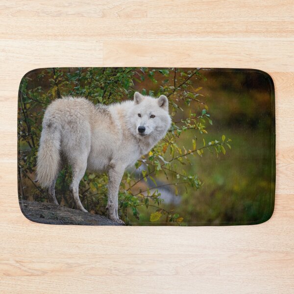 Item preview, Arctic Wolf designed and sold by Michael Cummings.