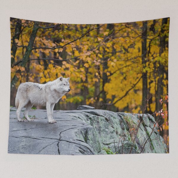 Item preview, Arctic Wolf designed and sold by Michael Cummings.