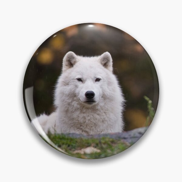 Item preview, Arctic Wolf designed and sold by Michael Cummings.