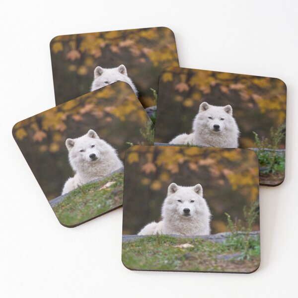 Item preview, Arctic Wolf designed and sold by Michael Cummings.
