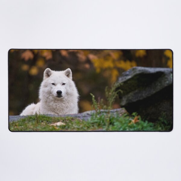 Item preview, Arctic Wolf designed and sold by Michael Cummings.
