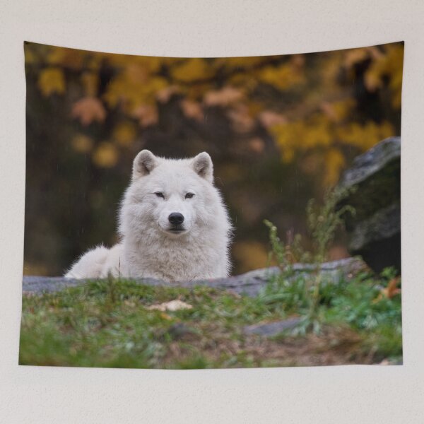 Item preview, Arctic Wolf designed and sold by Michael Cummings.