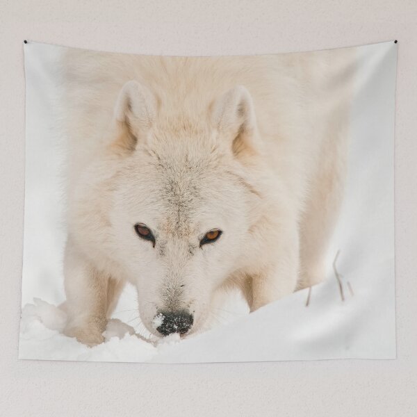 Item preview, Arctic Wolf designed and sold by Michael Cummings.