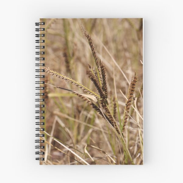 Item preview, African finger millet (Eleusine coracana) designed and sold by Zosimus.