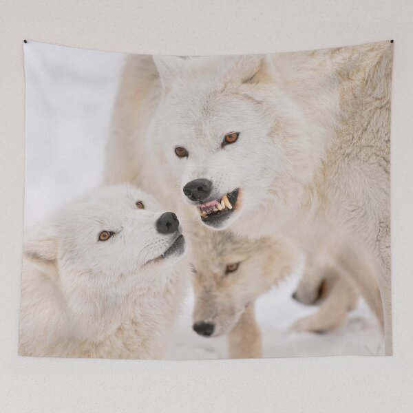 Item preview, Arctic Wolves designed and sold by Michael Cummings.