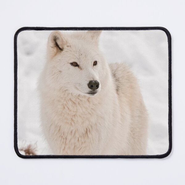 Item preview, Arctic Wolf designed and sold by Michael Cummings.