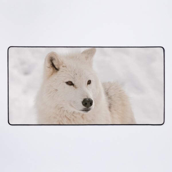 Item preview, Arctic Wolf designed and sold by Michael Cummings.