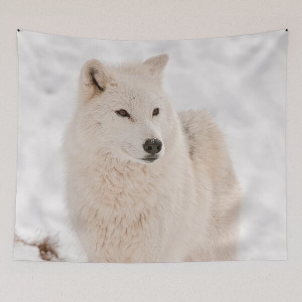 Item preview, Arctic Wolf designed and sold by Michael Cummings.