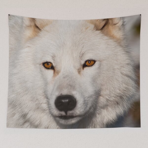 Item preview, Arctic Wolf designed and sold by Michael Cummings.