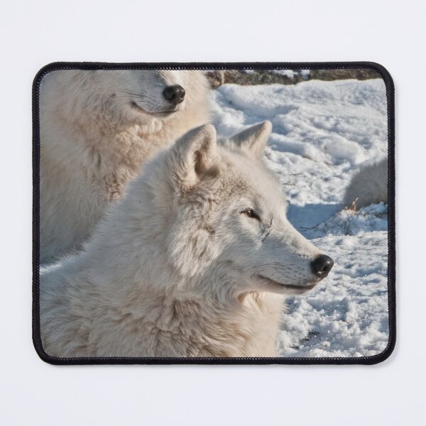 Item preview, Arctic Wolves designed and sold by Michael Cummings.