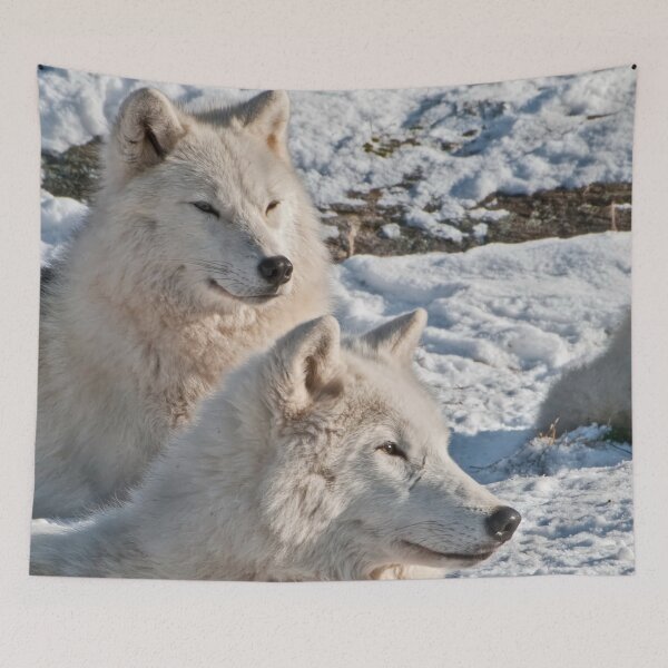Item preview, Arctic Wolves designed and sold by Michael Cummings.