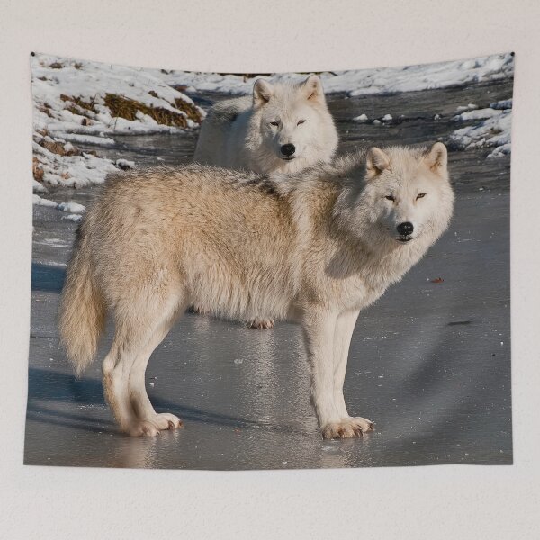 Item preview, Arctic Wolves designed and sold by Michael Cummings.