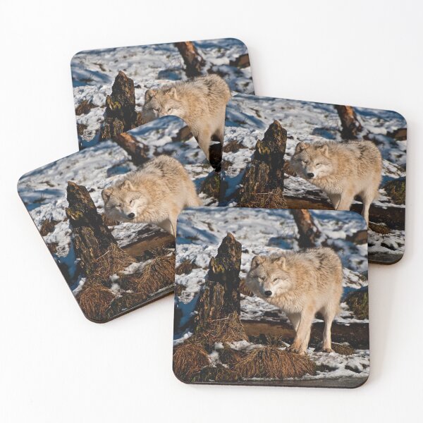 Item preview, Arctic Wolf designed and sold by Michael Cummings.