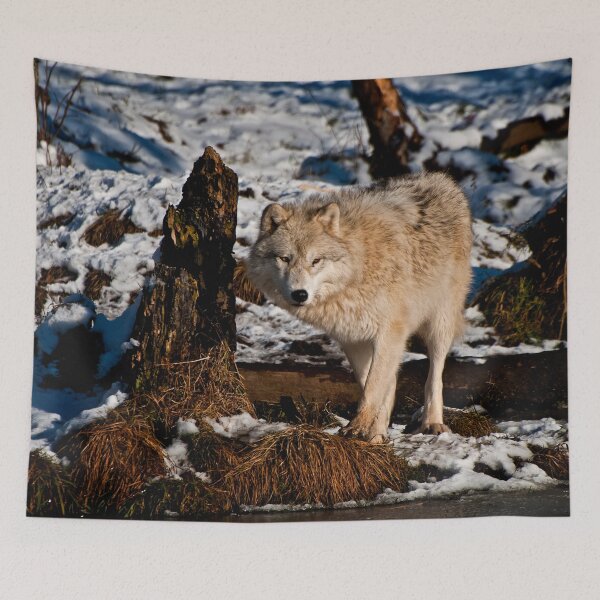Item preview, Arctic Wolf designed and sold by Michael Cummings.