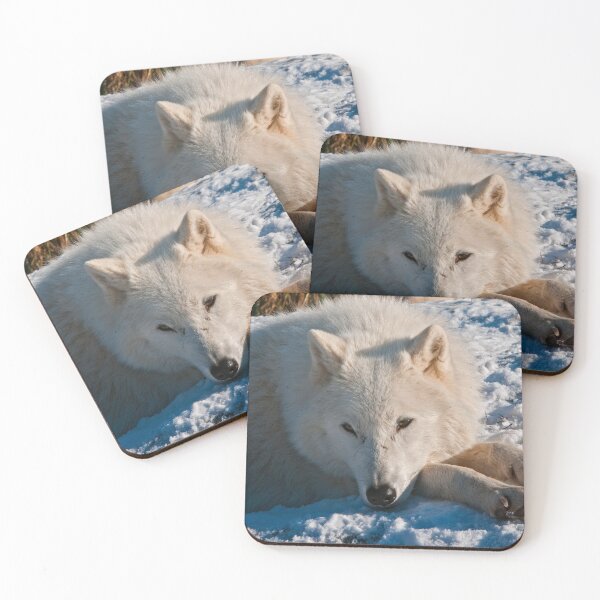 Item preview, Arctic Wolves designed and sold by Michael Cummings.