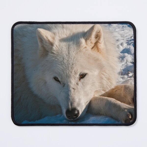 Item preview, Arctic Wolves designed and sold by Michael Cummings.