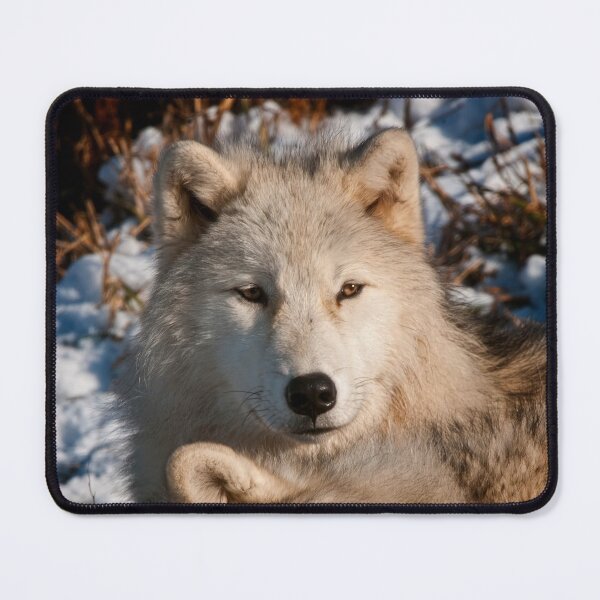 Item preview, Arctic Wolves designed and sold by Michael Cummings.