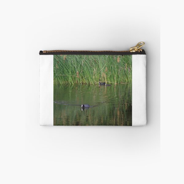 Item preview, Swamp hen designed and sold by BigAndRed.
