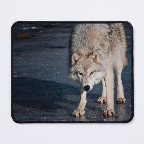 Item preview, Arctic Wolf On Ice designed and sold by Michael Cummings.
