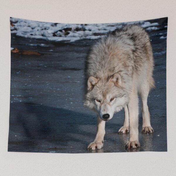 Item preview, Arctic Wolf On Ice designed and sold by Michael Cummings.